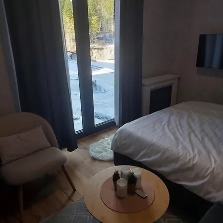 Apartment Mountain Goat